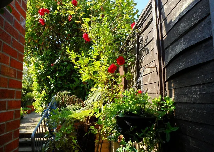 Galway Guest House