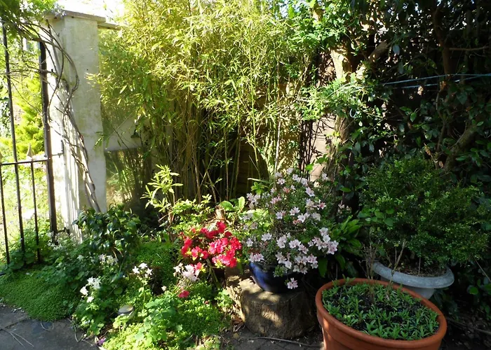 Galway Guest House